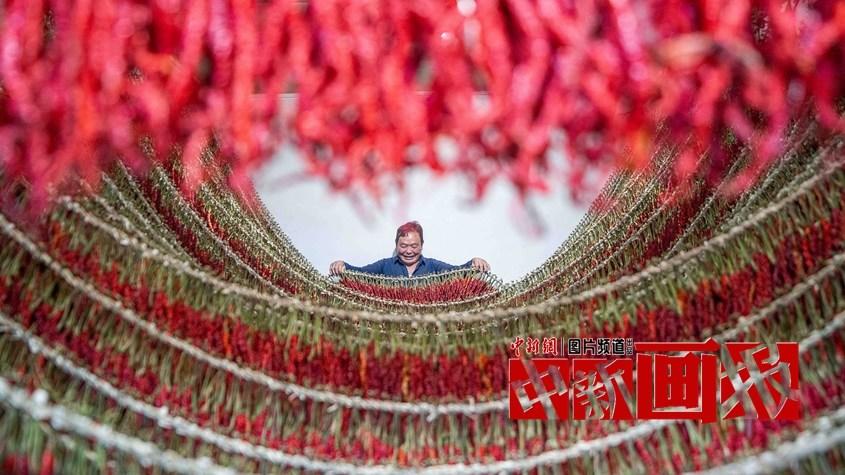 曬秋時(shí)間到！遍地斑斕好“豐”景