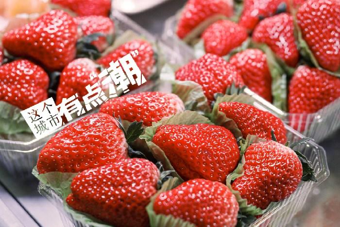 丹東：這一口鮮甜，開啟冬日“莓”好時光