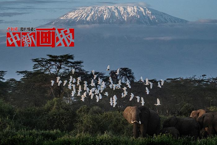 世界地球日 給未來的地球明信片