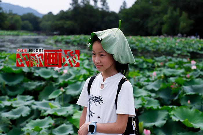 入伏有“涼”方 “花式”避暑輕松Get！