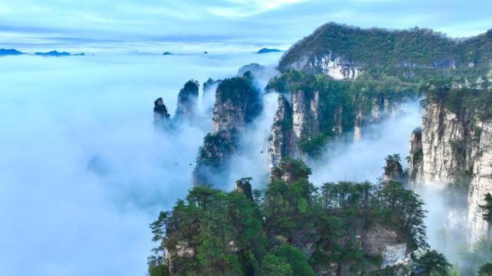 湖南張家界天子山迎來春日云瀑盛景