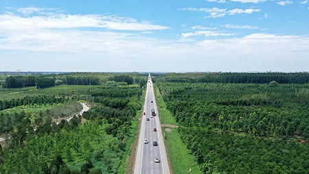 只此青綠，中國“雙碳”雄心背后的山河夢 