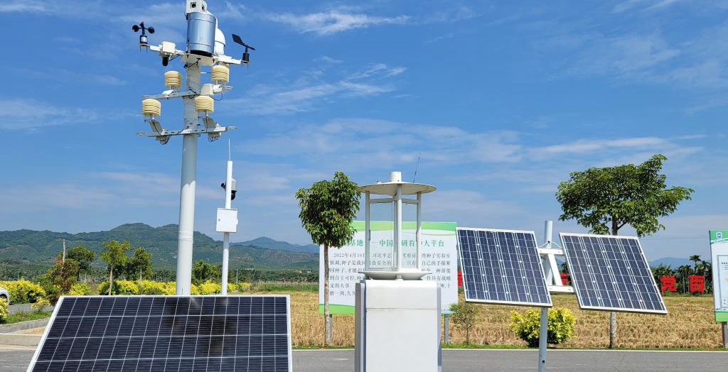 探訪在種業(yè)科研和創(chuàng)業(yè)熱土中成長的三亞“南繁硅谷”<p>晚秋的三亞，午間陽光依然炙熱。在崖州區(qū)壩頭南繁基地，由太陽能電池板提供能源，生態(tài)監(jiān)測系統(tǒng)、物聯(lián)網(wǎng)蟲情信息采集系統(tǒng)不間斷工作。<p>