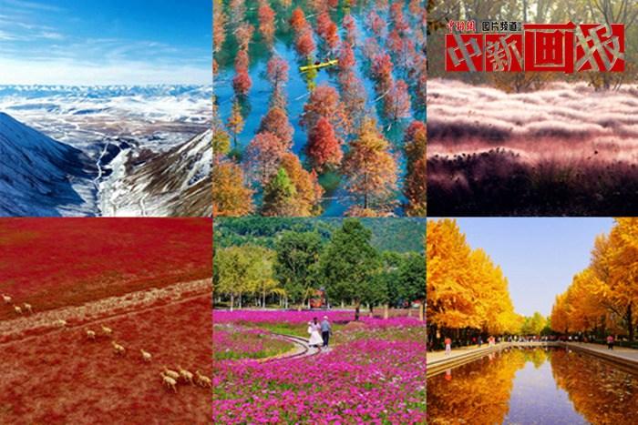 初冬至 大自然多彩冬衣“上新”啦！