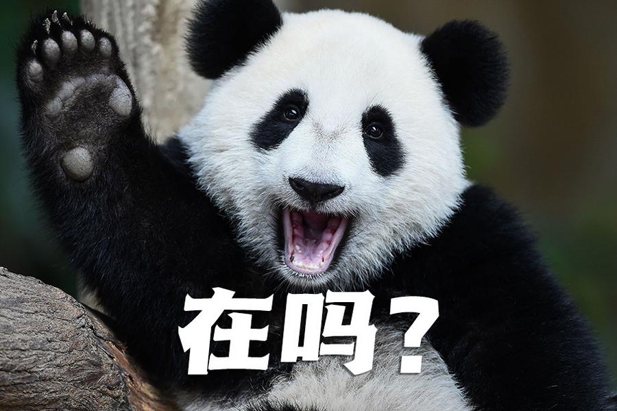 【世界微笑日特刊】嘿嘿，今天你笑了嗎？