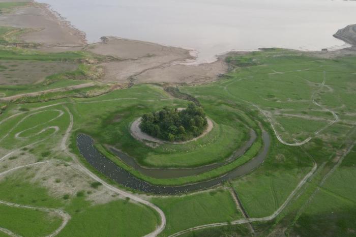 河南黃河三門峽庫區(qū)現(xiàn)“生態(tài)草原”景觀