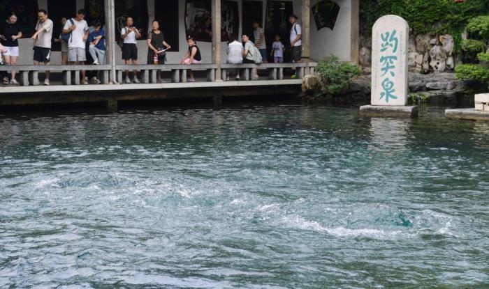 山東濟(jì)南：趵突泉“水涌若輪”美景重現(xiàn)